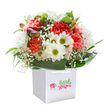 A bouquet that seems to have gathered the very best of Grove Park's gardens, this cheery arrangement beams with welcoming energy. Coral and peach carnations, lush and ruffled, mingle with crisp white daisies topped by zesty yellow-green eyes. Wisps of tiny, white baby's breath float among them, adding a breezy softness reminiscent of early summer days by Grove Park's leafy edges. Sprigs of unopened buds brushed with violet hint at fresh stories still to bloom, wrapped securely by broad shiny green foliage that nestles the bouquet inside a white gift bag with gentle ribbon handles. The image is set against a unblemished white background, emphasizing each detail and casting a calming, luminous glow on the bounteous blooms. Perfect for a joyful birthday, a thoughtful thank you, or simply to send a smile to someone near Grove Park station or Chiswick, this bouquet embodies the warmth, freshness, and expertise you'd expect from a true local florist. Every stem feels placed with intention, capturing the heart of the area and the sincere craft of its floristry.