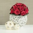 A luxurious cluster of crimson roses and red berries, shaped into a smooth dome, sits in a white wicker sphere at the centre of a bright white table, conjuring the feel of an intimate Grove Park wedding or engagement dinner. The roses are packed closely together, petals rich and velvety, creating a dense canopy of red that looks almost like a soft cushion of colour. Some blooms remain in tighter buds with petals circling inward, while others open more fully, layering outwards in curved spirals that catch the light. Tucked among them are glossy red hypericum berries, which introduce small, rounded highlights and a gently different shade of red, offering visual relief amidst the petals. Supporting the bouquet, a subtle ring of dark green foliage peeks out near the base, grounding the arrangement in natural greenery without stealing focus from the flowers. This entire floral crown is placed in a spherical vase crafted from white-painted branches or wicker, woven into a light, airy lattice that allows glimpses of shadow and stem within. The vase rests on a pristine white surface, likely a dining or wedding table, with reflections so soft they appear as faint whispers beneath the structure. To the left, two decorative spheres made from pale, natural-coloured wood strips sit casually on the table, their basket-like weave echoing the vase in a more relaxed, organic tone. The background is a softly blurred wall in warm beige or taupe, with a delicate, fabric-like texture that recedes quietly, ensuring the flowers remain the focal point. The overall atmosphere is romantic, refined, and tranquil, ideal for describing a table arrangement created by a local Grove Park florist for a special celebration.