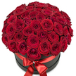 A lavish array of over fifty brilliant red roses, tightly packed into a perfect dome, spills gracefully from a smooth matte black hatbox designed with chic minimalism in mind. The roses, with their velvety petals and subtle gradations in deep crimson, offer a feast for the senses, while the meticulous arrangement creates an impression of generous fullness and romantic intent. A wide, glossy red satin ribbon wraps elegantly around the container's edge, its bow front and centre, completed by a shimmering gem-like detail that catches and reflects light, further enhancing the display's refined allure. The ensemble is highlighted by a crisp white backdrop, which makes every nuance-from the rich petals to the stately black box-stand out boldly. Imagining the fresh scent of roses drifting from the bouquet, one is reminded of spring mornings in Grove Park, the tranquility of nearby green spaces, and the joy of delivering a grand romantic surprise locally. Every aspect, crafted by Grove Park Florist experts, weaves together emotion, artistry, and place-making this arrangement a perfect choice for loved ones, special celebrations, or as a luxurious centrepiece for gatherings in the vibrant Grove Park area.