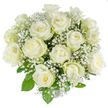 A serene, hand-tied bouquet of creamy white roses and clouds of tiny gypsophila sits captured against a pure white backdrop, the image radiating calm and understated grace. Approximately fifteen to twenty roses form a soft dome: some blooms are tightly furled into elegant buds, others are partially open to reveal velvety centers with the gentlest hint of warm cream at their hearts. Around the rose heads, innumerable pin-sized white sprays of baby's breath float like a delicate mist, their star-like florets creating an airy texture that lifts the composition and gives each rose room to breathe. Fresh, glossy rose foliage peeks from beneath and between the blooms, a lively green that frames the whites and adds a natural, grounding contrast. The petals look almost satin-smooth in the soft, high-key lighting of the photograph, which accentuates subtle shadows and the tender translucence at the petal edges; a slight trace of pale green on a few outer guard petals signals how recently they were cut. This arrangement reads as timeless and versatile - suitable for a peaceful sympathy tribute, a bridal table centre, or a quiet gift to mark a new beginning - and its scent can be imagined as a gentle, floral whisper rather than an overpowering perfume. The florist's shaping into a classic dome communicates care and balance: every stem placed to achieve symmetry and fullness. For neighbours around Grove Park, viewed in daylight or displayed on a mantel, the bouquet conveys purity, remembrance, and a soft promise of calm, a floral composition that feels both intimate and impeccably crafted.