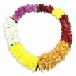 A colourful Hawaiian-inspired lei is arranged in a smooth oval at the centre of a bright white background, the contrast allowing each section of colour and texture to be clearly appreciated. The lei is composed of tightly clustered, artificial flowers that look like tiny chrysanthemums, their many-petalled heads giving the garland a plush, almost cushion-like feel when imagined in the hands. Following the circle from the top left in a clockwise direction, the eye encounters a broad band of rich purple blossoms, followed by a brief interlude of clean white that brings a sense of purity and quiet to the design. From there, the colours shift into bright yellow, uplifted and sunny, then gently deepen into a warmer golden yellow that feels calm and reassuring, akin to the soft glow of early evening over Grove Park's quiet residential roads. This golden passage then flows into a darker section of reddish-brown or maroon, an earthy, dignified hue that introduces a subtle hint of formality appropriate for funeral tributes. A final stretch of radiant yellow blooms completes the oval, restoring brightness and closing the circle with a sense of continuity. Small touches of dark green foliage-like fabric are visible at some of the colour boundaries, suggesting the traditional use of leaves in lei making and adding visual interest. A delicate shadow underneath the lei gives it three-dimensional presence, as though resting serenely on a table in a local chapel or family sitting room. While the flowers are designed for durability, the lei carries the emotional softness of fresh petals, making it a gentle and symbolic piece for remembrance and farewell ceremonies in and around Grove Park.