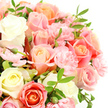 A close-up of a sumptuous bouquet shows roses and carnations gathered so closely that they form a soft, pastel canopy of petals against a crisp white background. The roses are full and velvety, their petals curling outward in delicate spirals that reveal a gentle progression of colour from creamy ivory and pale lemon-cream to blush pink, mellow peach, and a tender salmon-coral. Sitting between them, clusters of small carnations in a light, ballerina-pink tone add a frilled, almost feathery texture that makes the arrangement feel lush yet airy. Slender, dark green leaves with pointed tips peek through the blooms, offering structure and a fresh contrast reminiscent of the foliage lining the quiet residential streets around Grove Park and the nearby riverside paths. A few buds remain closed or only just beginning to open, hinting that this bouquet is freshly made and will continue to unfold once it reaches its destination. The lighting is bright and even, picking up the soft sheen on each petal and revealing the fine veining on the roses, while the white background keeps the focus firmly on the flowers themselves. The overall impression is one of gentle romance and calm, like a bouquet chosen to mark a new chapter - perhaps a first home near Strand-on-the-Green, an intimate celebration in a local café, or a tender message of sympathy sent across town. The image conveys the artistry and care of Grove Park florists who understand how to blend colour, scent, and texture into a design that feels both comforting and beautifully composed.