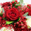 The photograph captures a richly textured bouquet where deep red and creamy white roses are gathered in a close, intimate cluster, evoking the romantic charm of evenings around Grove Park. At the centre of the composition, a single fully opened dark crimson rose commands attention, its velvety petals spiralling outward in a near-perfect rosette that suggests enduring love. Around it, multiple red roses press together, some only partly in view, their intertwined petals forming a thick, luxurious blanket of colour. Interspersed among these passionate hues are creamy white roses, their smooth, softly unfolded petals bringing light and balance, like quiet breaths amidst an emotional declaration. Wisps of delicate red Gypsophila flowers weave through the bouquet, creating a soft haze of tiny blossoms that adds intricacy and a sense of movement. In between petals and stems, rounded clusters of glossy red Hypericum berries appear, each berry catching a small reflection of light and contributing a playful, festive accent reminiscent of seasonal celebrations along the river near Chiswick and Kew. The flowers are cradled by lush greenery, including rounded, silvery-green eucalyptus leaves and deeper green foliage that layers behind and beneath the blooms, adding structure and a suggestion of cool, fresh fragrance. Gentle, diffused lighting falls evenly across the arrangement, highlighting the plush texture of the roses and the sheen of the berries without casting harsh shadows. Together, these elements create a bouquet that feels both luxurious and heartfelt, perfectly suited for anniversaries, intimate dinners, or thoughtful same-day deliveries across Grove Park and the neighbouring West London communities.