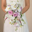 In this close-up wedding portrait, the focus rests tenderly on a Grove Park bride and the cascading bouquet she holds, as if she has paused just before walking down the aisle. The photographer captures her from the waist up at eye level, with the warm neutral background blurred into soft, creamy tones that allow the flowers to stand out in vivid detail. Her gown is white or ivory lace, and you can clearly see the carefully worked patterns along the sleeves and bodice, the texture echoing the refinement of the bouquet. The arrangement itself is a luxurious teardrop cascade, composed in a romantic mix of white, blush pink, lavender, and bold fuchsia. Dominating the design are broad, elegant Phalaenopsis orchids in pristine white, their smooth petals unfurling around centers touched with delicate yellow-gold, as warm as evening light glancing off the trees near Chiswick and Grove Park. Tucked among them are plump blush pink roses, their petals tightly layered, creating full, rounded blooms that lend a sense of abundance and classic romance. Threaded through are stems of pale lavender stock, their petite clustered flowers adding a feathery texture and a cool pastel veil that softens the whole arrangement. Light flecks of white baby's breath appear like tiny stars scattered through the design, contributing a sense of airiness and space. From the central mass of flowers, slender magenta trailing spikes, likely amaranthus, tumble elegantly downward, giving the bouquet its graceful cascade and dynamic movement. At the tapered tip, you can see unopened orchid buds, miniature lavender blossoms, and slender green stems, giving the impression that the bouquet is still alive and growing, freshly arranged that morning by local Grove Park florists for a ceremony filled with emotion and elegance.