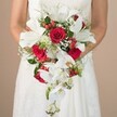 A close-up, waist-up view shows a bride in a classic white wedding gown, softly out of focus, cradling a dramatic cascading bouquet that becomes the true focal point of the image. The flowers spill gracefully from her hands in a luxurious teardrop shape, rich with velvety red roses, large open white oriental lilies, and trailing white phalaenopsis orchids. Each lily faces outward with trumpet-shaped blooms and prominent stamens dusted with pollen, their creamy white petals creating a luminous contrast against the passionate, ruby tones of the roses. The orchids flow downward in a gentle arc, like a white waterfall, their rounded petals and pale yellow centers adding a quiet elegance to the cascade. Threaded between these statement blooms are airy clusters of tiny white filler flowers, reminiscent of baby's breath, which soften the composition and lend a cloud-like lightness. Bright red berries, likely hypericum, peek through the foliage, bringing playful, jewel-like dots of colour that feel especially fitting for winter or festive weddings around Grove Park and the tree-lined streets leading to the common. Wisps of fine, feathery greenery and deeper green leaves frame the bouquet, giving depth and structure without overwhelming the florals. The bride's bare arms, lightly tanned, circle the bouquet protectively, hinting at calm anticipation and quiet joy. Behind her, a neutral beige background melts away in a gentle blur, ensuring that every subtle curve of petal, gloss of berry skin, and frond of foliage stands out. The mood is timeless and romantic, like something you might carry down the aisle at a Grove Park church or an intimate local townhouse ceremony, the kind of carefully crafted piece a dedicated neighbourhood florist would design for a once-in-a-lifetime vow.