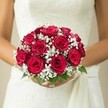 Infused with the charm of Grove Park, this evocative image captures a bride's delicate hold on a bouquet of lush, deep red roses-each bloom unfurling like a promise of love. Nestled amid the roses, gentle tufts of white gypsophila veil the arrangement in a soft, cloud-like aura, their snowy blooms shimmering under natural light. Hints of vibrant green leaves emerge at the base, lending a fresh, organic note reminiscent of nearby parks and riverside walks. The bride's slender fingers, tipped in polished nails, cradle the bouquet close to her textured wedding gown, where subtle lace and flowing drapery echo the gentle rhythms of a Grove Park celebration. The sumptuously soft, neutral background ensures every petal and fabric detail captures attention, suggesting a moment suspended in time. Crafted by the local Grove Park Florist and available for ceremonies or same-day delivery throughout the area, this bouquet stands as a symbol of classic elegance and heartfelt joy, perfect for those seeking floral design that resonates with the spirit and scenery of Grove Park.