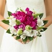 A close-up bridal image shows a woman cradling a lush, round wedding bouquet against the soft white fabric of her gown, the flowers filling the frame with rich colour and texture. At the heart of the design sit large fuchsia and magenta peonies, their densely ruffled petals layered like silk, creating a voluptuous, almost cloud-like centre that immediately draws the eye. Threaded between these bold blooms are crisp white alstroemeria, or Peruvian lilies, each trumpet-shaped flower marked with fine maroon speckles and slender brushstrokes inside the throat, adding an intricate, almost painterly detail to the arrangement. Spiky, bright green buds and textured filler flowers emerge here and there, their pointed forms and fresh lime tones giving the bouquet a lively, modern edge and helping the deeper pinks feel even more vivid. Around the outside, broad, glossy dark green leaves gently cup the design, providing a natural frame and a sense of structure, as if the bouquet has just been gathered from a particularly generous summer garden. The bride's hands are visible at the base, fingers curled lightly around the stems, nails painted a delicate pale pink that echoes the romance of the flowers. The background slips into a soft blur of white and cream, likely lace or tulle from the dress, so that all focus stays on the interplay of colour and petal. The overall mood is joyful yet refined, capturing the kind of striking bouquet a Grove Park bride might carry as she walks past the trees of the local park or steps into a church along Grove Park Road, her flowers glowing softly in the London light on a warm spring or early summer day.