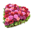 From a slightly elevated, overhead angle on a crisp white backdrop, this heart-shaped tribute reads like a tactile love letter in bloom. Dozens of garden roses are packed so tightly that the eye follows a continuous, plush surface of color: deep, velvety crimsons and burgundies anchor the design, while softer blush pinks and brighter fuchsia roses create a lively mid-tonal sweep, and touches of purplish-magenta add a duskier, contemplative edge. Each rose shows varied stages of openness-some petals are gently unfurling in soft ruffles, others remain tightly furled-giving the heart a living, three-dimensional texture you can almost feel beneath your fingertips. The floral core is crisply defined by a thin fringe of fine, deep-green foliage-delicate carnation-like leaves and verdant moss or spriggy greenery-that frames the silhouette and sets the blooms aglow against the white. Tiny, dark red berry-like accents are threaded within that green border, catching the light as subtle pinpoints of extra depth. Bright, even studio lighting reveals the velvety sheen on each petal and the nuanced shadows between blooms, while the white background allows the reds and pinks to sing with clear emotional intensity. The overall mood is both richly romantic and quietly consoling, suited to declarations of love, anniversary celebrations, or a gentle, respectful tribute of remembrance. A seasoned florist would note the arrangement's balance-density at the heart, softness at the edge-and the scent one can almost imagine: a warm, classic rose perfume. This carefully composed heart is a statement of devotion, made to be held in memory or offered as a deeply felt gift to someone near Grove Park or the surrounding neighbourhoods.