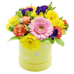 A joyful Easter hatbox bouquet stands out sharply against a clean white backdrop, full of the kind of colour harmony and balance that a seasoned Grove Park Florist takes pride in creating. The flowers form a rounded, domed mass, densely packed so that every inch is filled with petal, leaf, and colour. Dominating the front of the design is a large pink Gerbera daisy, its wide, layered petals arranged neatly around a soft green centre, acting like a friendly face that greets you first. Surrounding this centrepiece are multiple bright yellow chrysanthemum-style blooms, each one with fine, radiating petals that make them look like miniature suns, casting a sense of warmth and well-being, much like a walk through Grove Park on a bright spring day. Nestled between them, coral-orange carnations add a welcoming softness; their frilled petals curl and fold inwards, building depth and a more tactile quality. Deeper in tone, violet-purple lisianthus flowers are strategically placed to create visual pauses, their velvety petals lending drama and an air of sophistication. Green foliage both anchors and lifts the arrangement, with some leaves appearing richly emerald and others tipped with delicate white variegation that catches the light and breaks up the denser colours. The entire composition is set in a cylindrical hatbox container in a gentle pastel lime-yellow shade, decorated with whimsical Easter egg illustrations in pastel blue, pink, and white, some dotted and some striped like carefully painted eggs from a family craft session. This piece feels perfect for dressing an Easter table, brightening a hallway, or arriving as a same-day delivery surprise to a Grove Park address, spreading the quiet joy of spring into any home.