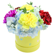 A cheerful, dome-shaped bouquet spills from a round pastel yellow hatbox, shown against a clean white backdrop and crafted with the attentive hand of a local Grove Park floral designer. Two large, ruffled lemon-yellow carnations crown the centre, their frilled edges catching soft light and suggesting a faint, spicy clove scent. Surrounding them like a cool cloud are generous clusters of periwinkle-blue hydrangea, each small floret edged with pale sky blue and touches of near-white, giving the arrangement a pillowy texture that contrasts delightfully with the carnations' crisp ruffles. To the left a saturated magenta carnation provides an energetic accent, while a deep, velvety crimson bloom on the right grounds the palette and adds visual depth. Slender sprigs of bright green foliage peek through the blooms, adding fresh texture and the suggestion of a recent morning harvest from nearby Chinbrook Meadows or a local Grove Park market. The hatbox itself is a soft lime-yellow paperboard, whimsically patterned with irregular pastel dots in light blue, soft pink and pale green, some speckled with tiny white flecks, which gives the gift a playful, almost vintage charm. The composition is compact yet lavish, the flowers arranged to form a full, domed silhouette ideal for a small dining table, bedside or front-room mantel. The overall mood is joyful and thoughtful - perfect for birthdays, a get-well gesture, or to brighten a neighbour's day in Grove Park. Light, texture and colour combine here to convey celebration and care without excess, a bouquet that reads as both premium and lovingly familiar.