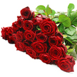 A lush expanse of deep red roses stretches across a clean white background, the bouquet arranged in a gentle horizontal sweep that feels both deliberate and effortlessly romantic. Two to three dozen long-stemmed roses lie closely together, their blooms overlapping in places but still distinct enough that each velvety head can be admired. The petals are a rich, intense crimson, spiralling from a tight centre outward into soft, curving layers that catch the light along their edges. Some roses are fully open, revealing every fold and shadow, while others remain partially closed, their outer petals wrapped protectively around the heart of the flower. The stems, gathered mostly at the top right of the image, appear strong and freshly cut, with dark green leaves that are glossy, full, and slightly veined. This foliage weaves through the composition, adding texture and depth while cooling the fiery red tones with its natural green. Set against the stark white surface, the bouquet has a modern, almost minimal backdrop that brings the romance of the roses into sharp focus, much like a statement piece in a tidy Grove Park living room or a cosy riverside flat in nearby Kew. The lighting is even and flattering, highlighting the luxurious, velvety texture of each petal without creating harsh contrasts. The overall effect is one of pure, concentrated emotion-a bouquet that seems ready to be lifted from the frame and carried out the door for same-day delivery to someone special, perfect for anniversaries, heartfelt apologies, or any moment when words alone are not enough.