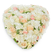 Viewed from directly above against a clean, bright white backdrop, this heart-shaped floral tribute presents a dense, tactile surface of soft ivory and snowy white blooms that reads as both delicate and resolute. At the heart of the design, billowing clusters of white hydrangea create a cloud-like mattress; their many ruffled petals provide volume and a gentle, cushiony texture that contrasts with the more sculpted forms of the roses scattered across the surface. Dozens of roses-some tightly furled buds, others fully open rosettes-move through a quiet wash of colour from pure white and warm cream to pale peach and whispering blush pink, producing a subtle, seamless gradient that feels tender rather than showy. Deep green, slightly variegated foliage peeks out at intervals, lending definition to the heart's outline and a natural freshness beneath the sweet floral notes. Soft, natural light from above throws a delicate shadow beneath the piece, revealing its three-dimensional build and meticulous placement of each bloom. The overall impression is intimate and reverent: a handcrafted emblem of enduring affection and calm. This style of arrangement is often chosen for memorial services or a sympathy tribute to comfort families across Grove Park, near Grove Park station and Chinbrook Meadows, where neighbours gather. Imagine the clean scent of freshly cut roses tempered by the faint green perfume of foliage-the kind of composition a local florist would prepare by hand with patient attention to proportion and touch. The handcrafted heart reads as a quiet statement of remembrance, offering softness and solace without ostentation, suitable for a funeral chapel, remembrance table, or a private bedside goodbye.