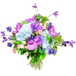Against a bright white background, this opulent bouquet seems to float, every flower carefully placed as though arranged in the calm of a Grove Park studio before heading out for delivery. At the heart of the design, large, cloud-like clusters of pale sky-blue hydrangeas dominate, each rounded head composed of many tiny petals that overlap to create a plush, velvety texture and a soothing wash of cool colour. Threaded amongst these expansive blue mounds are vivid fuchsia and deep purple orchids, likely Vanda or Phalaenopsis, whose broad, slightly glossy petals are intricately speckled and gently veined, bringing an unmistakably exotic focal point and a sense of luxury reminiscent of a special evening in nearby Chiswick. Rising from within and spilling lightly beyond the main shape, several slender stems of rich purple clematis introduce height and a graceful, slightly wild movement, their star or bell-shaped blooms nodding delicately as though caught by a gentle river breeze from the Thames Path. Tucked between these statement flowers, petite spray roses in soft blush pink and creamy white add an intimate, romantic touch, their clustered petals suggesting sweetness and tenderness. Surrounding everything, a collar of lush, deep green foliage fans out, the broad, glossy leaves and finer stems framing the bouquet while intensifying the vibrancy of the cool blues and vivid purples. At the base, the stems are neatly gathered and tied, showing the hallmarks of a skilled Grove Park florist accustomed to creating hand-tied gifts for birthdays, anniversaries, and thoughtful thank-you gestures. Soft, even lighting lends the entire composition a fresh, luminous quality, making the bouquet feel both polished and warmly inviting, ideal for bringing a sense of celebration and calm beauty into any home or office nearby.