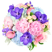 Captured against a spotless white background, this lavish bouquet appears almost like a living sculpture, its rounded dome shape emphasising the richness and density of the blooms. The central stars are the large pastel pink peonies, whose many ruffled petals spill outward in generous, voluminous layers, creating a soft, romantic focal point that suggests tenderness and celebration. Around and between them, sky blue hydrangeas form plush, cloud-like mounds, their cool tone introducing a soothing contrast that feels as calm as a stroll through the leafy avenues of Grove Park on a bright day. Scattered strategically throughout the arrangement are vivid fuchsia-purple Vanda orchids, each petal marked with intricate speckling that lends an exotic, high-end feel, as if rare treasures had been tucked among more familiar garden favourites. Coral pink calla lilies rise and curve gracefully from the mass of petals, their sleek trumpet forms adding movement and a refined, modern line that gently guides the eye across the bouquet. Smaller clusters of light pink and creamy white spray roses nestle in the open spaces, creating delicate textures and hinting at a gentle fragrance reminiscent of traditional English gardens. Soft, silvery-green dusty miller foliage mingles with deeper green leaves at the base and edges, providing a cool, velvety frame that grounds the vibrant colours and adds subtle depth. The overall impression is one of lush elegance and carefully considered artistry, making this bouquet easy to imagine as a centrepiece at an intimate dinner near the river, a romantic surprise sent to a Grove Park address, or a heartfelt tribute for any moment when words alone do not feel enough.