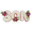 A deeply poignant, hand-crafted memorial spells out the word SON in large, three-dimensional capital letters set against a clean white background. Each letter is built from a dense carpet of small, pristine white spray chrysanthemums, their rounded, fluffy heads packed close to create a cloud-like, tactile surface that reads as both soft and solemn. The perimeter of every character is crisply defined with a bright red satin ribbon folded into a tiny scalloped trim, the pleated edge catching light and giving each letter a formal, finished silhouette. Three tasteful clusters of accent blooms interrupt the white: the S bears a spray on its upper left curve, the O is finished with a cluster tucked into its lower centre, and the N carries a gathered spray on its upper right stem. Each cluster combines velvety deep-red roses, slender blue-purple spikes-suggestive of Liatris or similar summer spikes-and rich, dark green foliage with delicate fern fronds and trailing leaves that add movement and depth. Soft studio lighting highlights the contrast between the pure white chrysanthemums and the saturated reds and blues, while a faint, comforting scent of roses and fresh foliage seems to linger in the air. As a funeral tribute this composition balances restraint and devotion: white for peace and purity, red for enduring love, and touches of blue-purple for dignity. I picture this arrangement prepared with quiet care by local hands in Grove Park, close to Grove Park station and Chinbrook Meadows, intended to sit near a casket, at a graveside, or beside a memorial photograph as a final, personal expression of love and remembrance.