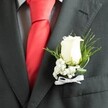 A close-up photograph captures the refined detail of a groom's charcoal grey suit, focusing tightly on a single white rose boutonniere resting on the left lapel. The jacket is beautifully tailored, the fine wool fabric showing a soft, matte texture with precise stitching running neatly along the edge of the lapel and the welt pocket just beneath. Under the jacket, a pale dress shirt with a subtle grid-like pattern adds a quiet layer of interest, while a bold, satin-finish red tie glows at the centre of the frame, drawing the eye upward and giving the scene a celebratory, almost cinematic feel. Pinned carefully in place, the boutonniere itself is crafted from a creamy white rosebud, its petals tightly curled and velvety, suggesting early morning freshness, as if it has just been prepared in a Grove Park florist's workroom before a wedding ceremony at a nearby church or park. Around the rose cluster fine sprays of white baby's breath, each tiny blossom like a speck of snow, forming a delicate halo that softens the strong lines of the suit. Wisps of bright green foliage stretch outward, mingling thin, airy strands with broader, glossy leaves that cradle the flowers and give the piece a gentle, natural movement. At the base, a narrow white satin ribbon is tied into a precise little bow, its sheen catching the light and reinforcing the sense of care and intention in every detail. The overall impression is one of quiet confidence and heartfelt tradition, the kind of small yet meaningful floral accent a groom or honoured guest might wear to mark a once-in-a-lifetime celebration in Grove Park.