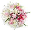 In this photograph, a lush, round bouquet of lilies, roses, and baby's breath is presented against a stark white background, making the colours and textures appear crisp and vivid, as if waiting to be hand-delivered to a doorstep in Grove Park. The focal elements are the white lilies, their trumpet-shaped blooms opening wide with a silky sheen, revealing soft green and cream throats and slender stamens that add fine, linear details. Nestled intimately around them, blush pink roses and smooth cream roses form a gentle halo, arranged at different stages of bloom so that tight buds, half-open forms, and fully blossomed roses all share the spotlight, suggesting a story of love unfolding over time. Rising from within, several striking fuchsia or magenta Oriental lilies provide dramatic contrast; their petals, rich with deep pink tones and dark speckling toward the centre, are crowned by bright yellow anthers that glow warmly in the even studio lighting. Throughout the bouquet, airy sprigs of white baby's breath thread their way between the larger flowers, softening the overall look with a gossamer, cloud-like texture. Subtle flashes of fresh green foliage, mainly slender lily leaves and discreet rose greenery, frame the blooms and lend a natural, garden-picked feeling, as though they could have been gathered from a well-tended yard near Grove Park station. The bouquet appears expertly balanced and densely packed without feeling heavy, radiating a mood of joy, romance, and quiet sophistication. It would suit many occasions in the local area, from intimate weddings and anniversaries to thoughtful sympathy or thank-you deliveries that call for beauty expressed in soft pinks and whites.