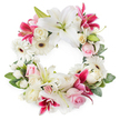 The photograph presents an open circular sympathy wreath, meticulously arranged and set against a bright white background, creating a clear and dignified focus on the flowers. The wreath's unbroken ring is lush with blooms in white, soft pink, and deep magenta, giving an immediate impression of care and craftsmanship. At the heart of the design are large white lilies, their broad, waxy petals arranged in open star shapes, each blossom revealing prominent golden stamens and pale green centres that suggest purity and peace. Intertwined among these lilies are richer fuchsia and deep pink lilies, their petals often speckled with darker tones, adding visual drama and an undercurrent of heartfelt emotion. Nestled close to these are clusters of blush pink roses; some appear as tight buds, others gently opening, their layered, velvety petals symbolising tenderness, remembrance, and love. Cream-toned white roses, more fully opened, contribute to the wreath's fullness and classic funeral elegance, reminiscent of traditional tributes seen at churches and crematoria around Grove Park. Scattered throughout the ring are bright white gerbera daisies, instantly recognisable by their dark central eyes and clean, radiating petals, adding freshness and a touch of modern style. Smaller white filler flowers, likely spray carnations or petite chrysanthemums, occupy the spaces between larger blooms, lending a soft, cloud-like texture. A generous base of lush green foliage encircles the wreath, with glossy leaves and lighter green shoots providing contrast and framing the flowers. The overall effect is tranquil, respectful, and comforting, making this wreath an ideal floral tribute for a funeral or memorial gathering in Grove Park, whether placed beside a photograph at a chapel or delivered to a family home as a gentle gesture of support.