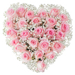 A lavish heart-shaped spray composed entirely of soft pastel-pink roses and sprinkled with tiny white baby's breath sits against a pure white backdrop, filling the frame with a gentle, romantic presence. From this close view you can almost feel the cool, satiny touch of each rose petal: some blooms are tightly furled like a secret, others unfurl in elegant spirals that reveal deeper pink centres, creating a subtle gradation from pale blush at the edges to cream-tinged rose towards the heart. The baby's breath (Gypsophila) threads through the mass of roses like fine lace, its cloud-like clusters lifting the composition and giving the heart an airy, almost ethereal edge that softens the overall silhouette. Bright, even lighting highlights the velvety texture of the petals and the immaculate freshness of each stem, while the white background keeps every subtle tone and shadow crisp and readable. This arrangement reads as a language of tenderness-ideal for Valentine's Day declarations, anniversaries, engagements, or any moment that calls for understated devotion. A seasoned florist's hand is evident in the precise packing and symmetrical shaping that maintain the heart's perfect contour while allowing individual roses to breathe. There is a faint, classic rose scent suggested by the image-heady but clean-paired with the near-silent elegance of the baby's breath. Locally, this kind of heart-shaped bouquet is commonly requested for deliveries in Grove Park and to nearby Hither Green or Lee addresses, where families choose it for intimate celebrations and quiet remembrances alike. The overall effect is one of refined affection: warm, sincere, and beautifully simple.