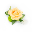 A single, elegant boutonniere is carefully composed against a pristine white background, the image lit to reveal every delicate surface and shadow. At its centre sits a fresh peach-coloured rose, petals soft and tightly furled at the heart and opening outward in layers that shift from pale apricot to a whisper of champagne at the edges. The rose's satiny petals catch the light with a gentle sheen, suggesting the faint, honeyed scent of a blossom picked early on a bright morning. Surrounding the bloom, deep green ruscus leaves form a rich, supportive backdrop, their smooth, structural planes pushing the colour of the rose forward and grounding the composition. To the lower left a lime-green button chrysanthemum adds lively contrast: a neat, cushiony sphere of tiny florets whose compact texture plays against the rose's sweeping curves. Several elegantly curled variegated leaves, streaked with lighter green bands, frame the top and right side of the cluster, their curled tips introducing a controlled sense of movement and contemporary styling. From the bottom right, a small strand of lustrous white faux pearls drapes like a soft cascade, the pearlescent beads catching highlights and introducing a classic, vintage note that balances the design. The arrangement reads as refined and celebratory-small enough for a lapel yet thoughtfully layered with texture and colour-making it well suited for weddings, proms, and formal events around Grove Park and neighbouring Hither Green. A local florist's hand is evident in the clean wiring and bright presentation; you can almost feel the coolness of the petals and the smoothness of the pearls as the light reveals the craftsmanship and fresh materials.