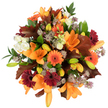 A close, overhead portrait of a lavish autumn bouquet, each element described as if by a local florist walking you through the arrangement by hand. Bright orange Asiatic lilies take centre stage, their trumpet-shaped petals fully unfurled and catching light so their satin texture seems almost touchable; a handful of pale green and soft orange lily buds tuck in between open blooms, promising more blossoms to come. Vibrant Gerbera daisies in pumpkin orange and a deep, wine-red burgundy punctuate the composition with sun-like faces, their dark centres anchoring the eye. Creamy white lisianthus or mini-rose clusters offer gentle contrast, their ruffled petals softening the bold palette, while fringe-like, starry Astrantia in muted purples and lavender thread a delicate, almost lacy texture through the mass of flowers. Generous, glossy green foliage provides a fresh backdrop, and the arrangement is artfully echoed by large, lobed leaves in rich reddish-brown-oak-like shapes that give the bouquet its unmistakable fall identity. The whole design is densely gathered and vibrantly lit against a pure white background, making each hue sing with warmth and harvest-season comfort. You can almost smell the faint, sweet floral perfume underscored by green, earthy notes; the bouquet radiates celebration, gratitude, and cosy afternoons in leaf-strewn parks. This hand-tied composition would be a graceful centrepiece for autumn décor, a seasonal gift for birthdays or housewarmings, or a thoughtful display to bring the feel of turning leaves indoors across Grove Park and neighbouring SE12 streets.