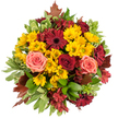 Viewed from directly above against a pure white background, this autumnal hand-tied bouquet forms a dense, round composition that feels like a small harvest gathered in a sunlit meadow. Golden-yellow button chrysanthemums mass together to create a cheerful, luminous core, their tiny petals catching a soft, even light and giving the arrangement a lively, textured surface. Scattered among those warm stars are flat-faced gerbera daisies in a deep burgundy, their dark centres offering dramatic contrast and grounding the palette. Interspersed throughout are roses in velvety crimson and softer coral-pink and peach tones; their spiralling petals and gentle sheen add romantic depth and a tender, tactile softness. Small, star-shaped alstroemeria in cranberry and reddish-brown slip into the gaps, bringing delicate linear marks of colour and fine detail that draw the eye around the circle. Variegated glossy leaves and broader green foliage provide a cool, fresh backdrop, while a few reddish-brown autumn leaves peek from the edges like fallen notes from a nearby tree. The bouquet smells faintly sweet with green undertones-subtle, comforting, like a quiet walk through Chinbrook Meadows on an autumn morning-and its textures range from resilient chrysanthemum buds to the cool smoothness of foliage and the crinkle of rose petals. Perfect as a Thanksgiving centerpiece or a warm, thankful gift, this arrangement radiates seasonal generosity and quiet celebration; its compact, crafted shape would sit beautifully on a low table or mantel in a Grove Park home, bringing the feeling of crisp neighbourhood walks indoors.