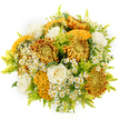 Set against a luminous white background, this bouquet appears like a captured moment of autumn light, the kind you might glimpse through the trees along the Thames near Grove Park on a late afternoon. At its centre, large chrysanthemums unfurl in shades of honeyed gold, deep amber, and coppery bronze, their dense petals layered into plush, rounded blooms that invite close inspection. Some have the unmistakable rippled, brain-like contours of cockscomb-style varieties, washed in mustard yellow and earthy brown; these sculptural forms add drama and make the bouquet feel luxurious and tactile. Cradled among them are several creamy white roses, their petals arranged in soft spirals that gradually open from tight centres to gentle, rounded cups. The roses provide a serene counterpoint to the bold autumn palette, introducing calm, classic beauty that whispers of timeless romance. Scattered throughout the design are tiny white daisies, likely feverfew or chamomile, each star-shaped bloom encircling a cheerful yellow centre, lending the arrangement a relaxed, wildflower charm as if gathered from a hidden garden off Grove Park Road. Sprays of lime-green solidago and fine foliage weave around the flowers, injecting bright green highlights that keep the composition light and uplifting. The bouquet is arranged into a generous, rounded form that feels full yet not overcrowded, with each bloom given space to breathe. The clean background and even lighting ensure every vein, curve, and petal edge is visible, from the ruffled mums to the feathery greens. Overall, it conveys warmth, comfort, and gentle joy-a perfect bouquet for sending support, congratulations, or a heartfelt autumn greeting to someone in Grove Park and the nearby neighbourhoods.