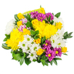 A bright, uplifting bouquet fills the frame of this image, its rounded form and rich colours set cleanly against a white background. At its heart, clusters of vivid yellow chrysanthemums create a sense of immediate warmth; their large, dome-shaped heads are densely packed with fine petals that fan outwards, giving the look of miniature suns gathered together. These are paired with small, charming yellow spray roses, appearing in different stages from tight bud to partly opened blossom, their more structured, spiralled petals adding refinement and subtle fragrance to the mix. Scattered generously throughout the design are white daisy-like chrysanthemums, each flower marked by a pale green centre that keeps the arrangement looking fresh and modern, like the bright, open feel of the residential streets and nearby green spaces of Grove Park. To provide drama and depth, deep magenta and rich purple daisy chrysanthemums have been woven into the bouquet; their intense colouring and bright yellow centres both contrast with and complement the surrounding yellows and whites, lending the whole piece a celebratory energy. Small hints of pastel pink or lavender can be glimpsed here and there between the more prominent blooms, softening the transitions and creating a gentle, layered effect. A collar of dark green foliage-smooth, glossy leaves overlapping in generous quantity-frames the flowers and gives the bouquet a lush, full profile, typical of the thoughtful styling from Grove Park Florist. The lighting is soft and even, showing the true colours of each petal and the vitality of the foliage. Altogether, the bouquet feels joyful, comforting, and accessible in price, ideal for same-day delivery as a birthday surprise, a get-well message, or a simple gesture of care within the Grove Park area.