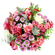In this overhead view, a generous bouquet forms a complete circle of blooms, densely packed so that petals, leaves, and colours blend seamlessly into one another against a pure white background, as if resting on a sunlit table in a Grove Park home. At its heart, large roses in rich fuchsia and gentle blush pink unfurl in full bloom, some petals tipped in creamy tones that create a soft, romantic halo around each flower. Surrounding them, peach-pink carnations contribute a mass of ruffled layers, their textured petals giving the arrangement a plush, cushion-like feel that contrasts beautifully with the smoother rose petals. Throughout the bouquet, small lavender-purple chrysanthemums with vivid lime-green centres pop like tiny stars, their daisy-style faces adding movement and cheerful energy. Creamy white and pale ivory blossoms are woven between these brighter tones, offering subtle highlights that keep the palette balanced and inviting. Slender stems of eucalyptus, with their rounded, silvery-green leaves, thread gracefully through the design, adding a cool, contemporary touch and hinting at a refreshing, leafy scent. Deeper green foliage helps define the bouquet's domed outline, while long, narrow leaves with reddish-pink variegation introduce an understated warmth reminiscent of the changing colours you might notice on an evening walk near Grove Park and Chiswick. The arrangement appears meticulously hand-tied, the flowers snugly clustered to create a sense of abundance and care. The overall mood is one of gentle celebration and heartfelt sentiment, making this bouquet ideal for sending love, congratulations, or a thoughtful 'thinking of you' message to someone in Grove Park or the surrounding riverside neighbourhoods.
