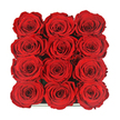 An almost perfectly symmetrical vista of roses fills this image, viewed directly from above so that all twelve blooms create a tight grid, three across and four down, like a carefully curated panel of deep red velvet. The roses sit snugly inside a dark, minimalist box whose barely visible rim adds just a hint of shine along the lower edge, suggesting a polished, high-end finish that would look at home in a stylish Grove Park apartment. Each rose is at full openness, yet still disciplined in shape; the petals layer one over another in soft curls, moving from brighter ruby on the outer edges to richer, shadowed crimson in the centre, where the light gently fades. There are no leaves or stems in sight, only the dense, plush crown of each flower, so close together that their circular forms almost blend into one continuous tapestry. The overall effect is strikingly modern yet deeply romantic, like a classic love story retold in a contemporary setting along the leafy streets by the river. The roses have the flawless appearance of premium preserved blooms, crafted to keep their colour and form, making them a fitting choice for anniversaries, Valentine's surprises, or lasting tokens of affection. One can imagine this box being presented after a dinner at home in Grove Park, the lid sliding back to reveal this intense pool of red, instantly transforming an ordinary table into something special. The arrangement speaks of care, intention, and enduring passion, distilled into twelve perfect flowers that say everything without the need for extra adornment.