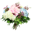 A soft, romantic bouquet of hydrangeas is captured against a bright white background, making its pastel tones and lush textures the clear focus, much like a centrepiece in a calm Grove Park townhouse. The arrangement is generously composed of large, rounded hydrangea blooms in baby pink, serene sky blue, and creamy white, each flower head formed from tightly clustered, small petals that create a velvety, cloud-like volume. The pink hydrangeas suggest warmth and tenderness; the blue blooms bring a cool, gentle tranquillity; and the white flowers offer a clean brightness that lifts the entire design, reminiscent of light filtering through trees in nearby Chiswick and along the river. Interlaced among these main hydrangea heads are fine sprigs of tiny magenta filler flowers, most likely waxflower, which appear as delicate specks of richer colour. Their slender stems and little star-shaped blossoms give the bouquet a faint wildflower charm and a whisper of aromatic greenery. Encircling the hydrangeas is an assortment of foliage: broad, glossy dark green leaves provide structure and contrast, while smaller, softer leaves add lightness and movement, echoing the layered textures of local gardens around Grove Park. The stems are gathered tidily at the bottom, clearly tied by hand, evoking the craftsmanship and care of Grove Park Florist preparing an arrangement for same-day delivery. Soft, even lighting reveals gentle variations in each petal and emphasizes the bouquet's full, rounded shape, creating a mood that is peaceful, hopeful, and quietly joyful-ideal for sending love, encouragement, or congratulations to someone special in the Grove Park area.