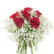 A hand-tied bouquet captured against a pristine white backdrop, centred on six richly saturated crimson red roses standing in near-full bloom. Each rose reveals velvety, spiralled petals that open from a tight centre into luxuriant layers of deep red, their surfaces absorbing the soft studio light and giving the blooms a warm, tactile depth. Surrounding and cushioning the roses is a voluminous cloud of pure white baby's breath (Gypsophila), its tiny star-like flowers forming a delicate, airy halo that contrasts the roses' dense, sensual texture. The green stems are long, fresh and neatly gathered at the base, visible beneath the flowers and bound in a classic hand-tied style that suggests careful, professional preparation and recent cutting. The arrangement carries a subtle, sweet fragrance: the faint perfume of red roses mingling with the green, dewy scent of the foliage and the almost powdery lightness of the gypsophila. Viewed at eye level from slightly above, the bouquet's rounded silhouette reads as both traditional and timeless - a visual language of love, appreciation and quiet celebration. It is a composition suited to intimate moments: anniversaries, a birthday surprise, Valentine's gestures, or simply to say 'I'm thinking of you' with enduring elegance. As a local florist would note, the clean white background and carefully balanced contrast of crimson and white make every detail - from each petal's edge to the tiny gypsophila buds - clearly visible for someone relying on a vivid verbal description. Available for local delivery within Grove Park and neighbouring streets, this bouquet feels like a classic, heartfelt offering crafted with attentive hands and seasonal freshness.