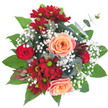 To hold this bouquet is to cradle the spirit of Grove Park-a gathering of blooms as fresh and lively as the area's own green boulevards. Peach roses rest at the centre, their petals gently spiraling open with soft blushes of pink, recalling tranquil mornings on the Thames path. Deep red and burgundy chrysanthemums with lime-green centers lend a rich heartbeat and daisy-like cheer, perfectly paired with a tightly closed red rosebud, deepening the sense of affectionate tradition. Wisps of white baby's breath thread between the larger flowers, lending a gossamer lightness that echoes the soft hush of a new day. The arrangement rests on a bed of polished dark greenery and round silvery eucalyptus, grounding the bouquet in modern elegance. A spiky, vivid burgundy protea stands out, drawing in the eye with its unusual form-a touch as unique as Grove Park itself. The result is a lush, circular bouquet that radiates warmth, optimism, and local artistry, ready to delight as a centrepiece for a family gathering or a thoughtful gift delivered across Grove Park's welcoming streets.